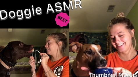 doggie asmr